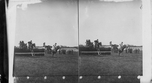 The Leaders in the Empire State Steeple chase Gravesend Track, New York, Brooklyn. 1909