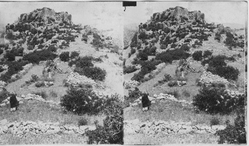 Subeibeh Castle, Mt. Hermon, Palestine. Syria. (near border of Palestine)