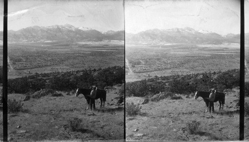 Looking west to Mt. Yale 14,172 ft. Another of the 3 Collegiate Peaks, Colo