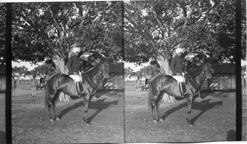 Maharaja of Mysore at Mysore, India