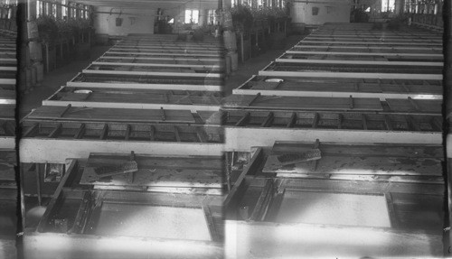 Hatching troughs at Corry, Pennsylvania. A tray of eggs in the foreground. Tray suspended a few inches above bottom