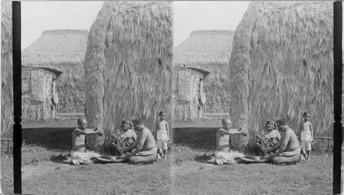 Pounding Poi - preparing dinner in primitive fashion, Hawaiian Islands