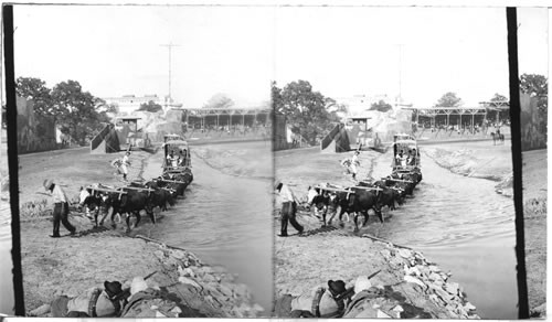 Covered Wagon, Fording a stream, St. Louis World's Fair, Missouri