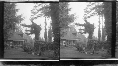 Ivy Garden. Estate of S.B. Buchanan. New Westminister, B.C