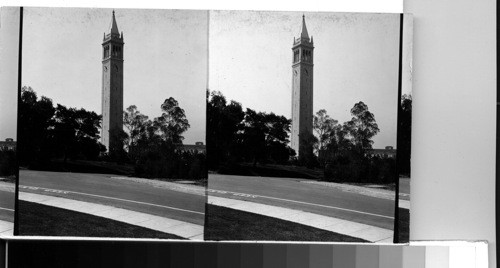 The Campanile. University of California Campus. Berkeley, Calif