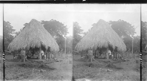 Rude life of natives - a hut in the tropical jungles of Panama