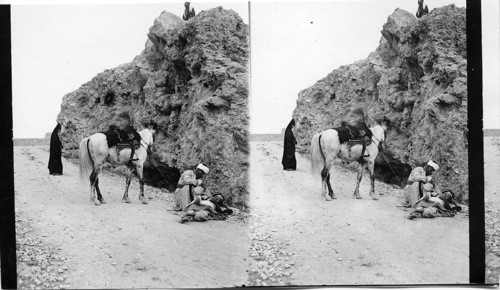 A Good Samaritan on the Road to Jericho. Palestine