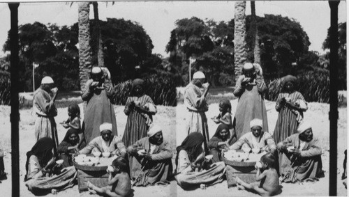 Sour milk feast, Cairo, Egypt