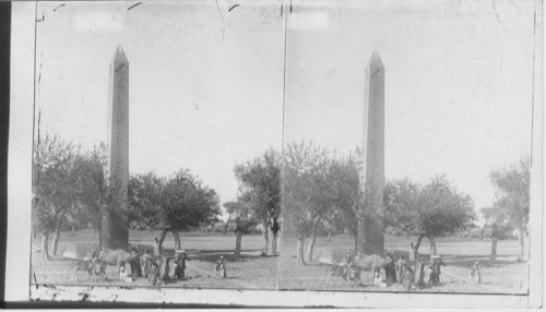 The Sole Survivor of a Great City The Obelisk of Heliopolis L.S.S