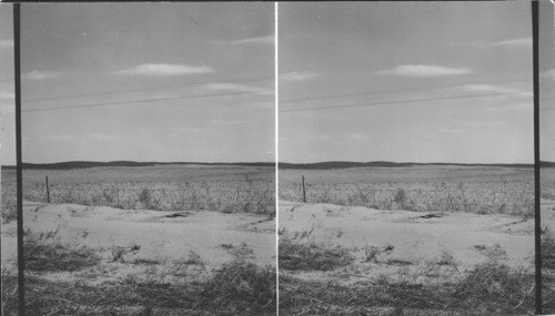 Erosion in Dust Bowl. N.E. Oklahoma