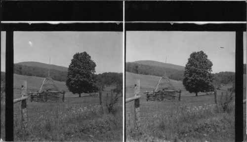 Method of stacking hay in southeastern states - scene in South Virginia