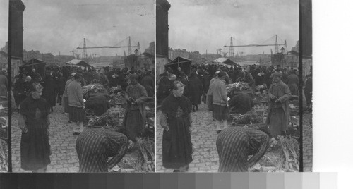 Marketplace, Loire River, at Nantes, France