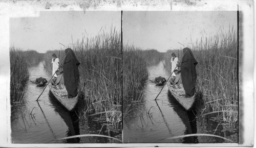 Poling a Way thorough Reedy Marshes of Lower Tigris and Euphrates, Plain, Birs-Nimrud. Mesopotamia. Asia