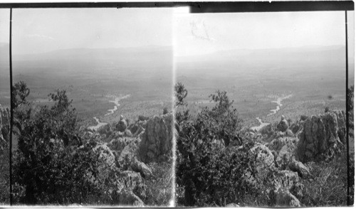 Scene in Palestine