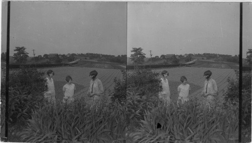 Three Girls