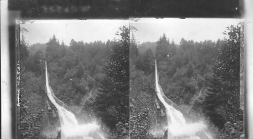 A lumber flume bringing lumber six miles from mill to railroad, Oregon