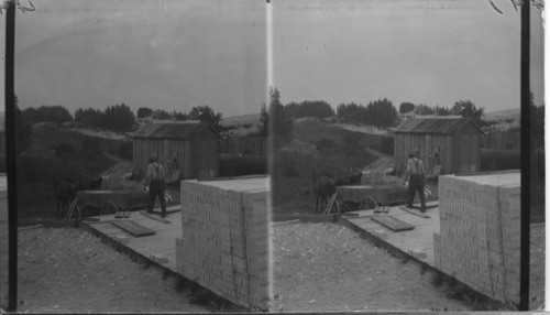 Loading the Bricks, Ont. Prince Edward County