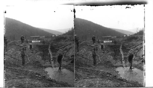 Gold Miners at Work in the Klondike Country. Yukon District. Canada