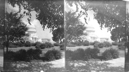 Capitol, Washington. D.C