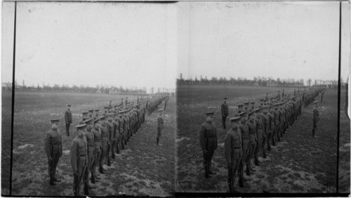 Regiment in line, about 700 students drilling, University of Ill., Urbana, Ill