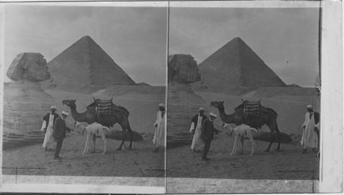 Sphinx and Great Pyramid, Egypt