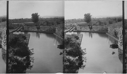 Fountain of Elisha, Palestine Jericho