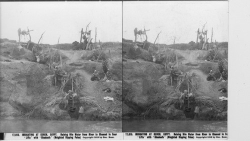 Inscribed in recto: 17,015. IRRIGATING AT KENEH, EGYPT. Raising Nile Water from River to Channel in Four ‘Lifts’ with ‘Shadoofs’ (Weighted Dipping Poles). Copyright 1912 by Geo. Rose