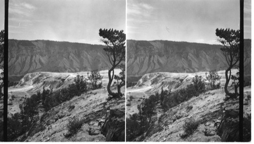 Terrace at Mammoth, Wyo