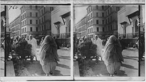 An Arab woman in street costume, Algiers, Algeria