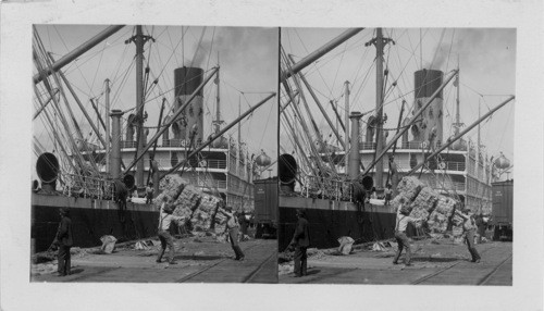 S.S. Minnesota unloading cargo from the Orient and painting her smokestack, Seattle Docks, Wash