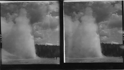 Giant Geyser Y.N.P