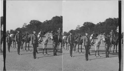 Cavalry Drill at West Point. N. York