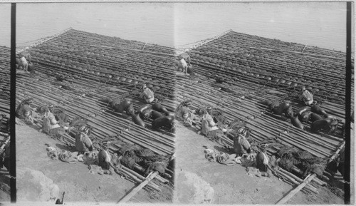 Rafts on the Euphrates River, Mesopotamia