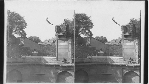 India, Diving from the Top of 50 ft - Tower Fatehpur, India