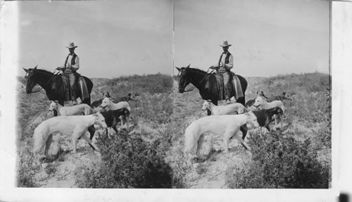 First-Class Cow Horse, Paloduro [Palo Duro] Ranch, Texas