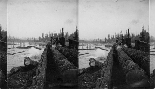 Unloading Logs, Puget Sound, Washington