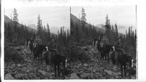 Indian Trail Up Saddleback Laggan. Alberta. Canada