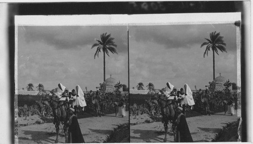 Travelers on the Plain of Sharon near Lydda, Palestine