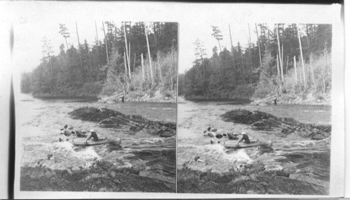 Boating on the Moon Dam Rapids, Moon River, Muckoka - Ontario. Canada