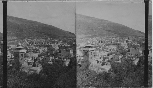 Shechem or Nabulus Vale of and the town, Palestine