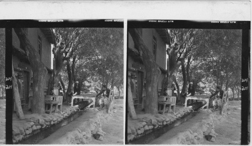 204 Teahouse on the road to Bamian. The stream flowing under the table (which is not a table to place things on, but a platform to sit on) provides a little “air-conditioning.”