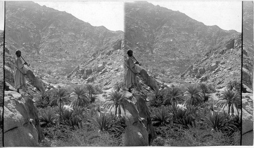 The Valley of Amalekites, Wady Fieran. Egypt