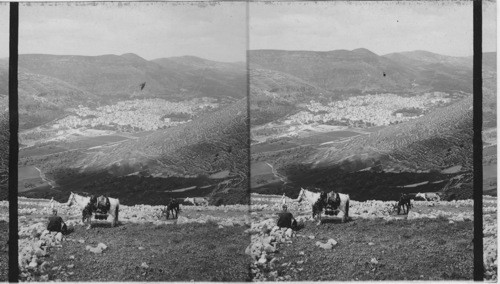 S.W. from Ebal over Shechem, Palestine