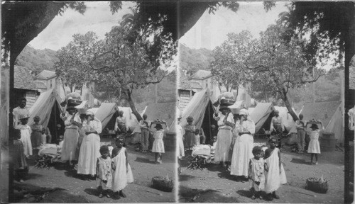 In Refugee Camp Near Kingston, St. Vincent. Tents Sent By American