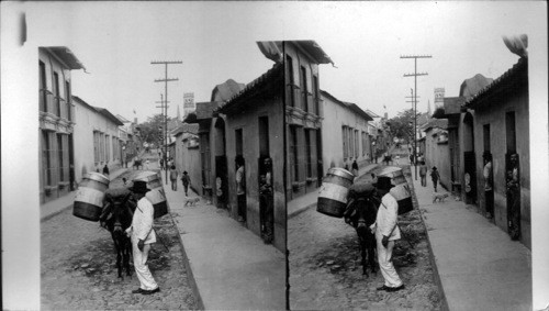 The bread mule on a typical street in Caracas. Venezuela