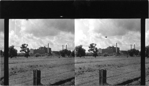 Chalmette [La.] Sugar Refinery, home of domino cube sugar