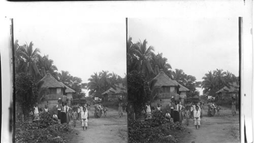 Feathery palms and cottage homes at San Nicholas, Cebu. Philippine Islands