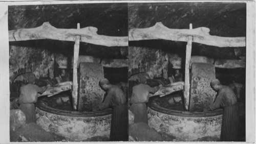 Crushing oil from the olives, Nablus, Palestine