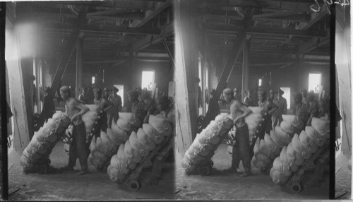 Loading Cars, Portland Cement Works, Point Ann, Ont