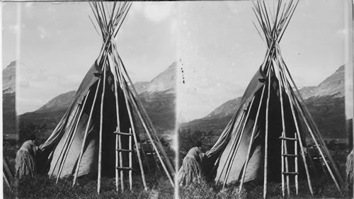 Completing the erection of a Teepee Tent Indian women building a Teepee. Glacier National Park. Montana